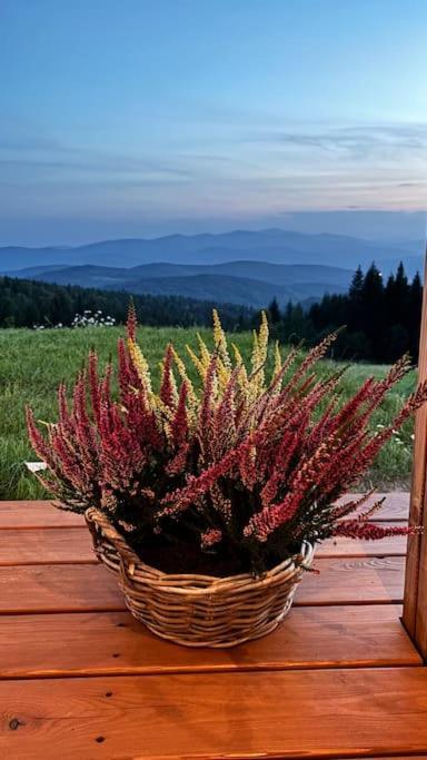 Blizej Nieba Koskowa Gora Villa Bogdanowka ภายนอก รูปภาพ